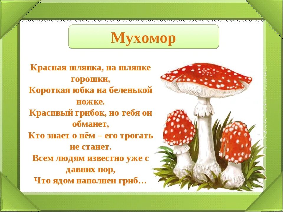 Загадка про мухомор. Стих про грибы для детей. Стих про мухомор. Стихотворение про мухомор. Стихотворение ох грибок ты мой грибочек