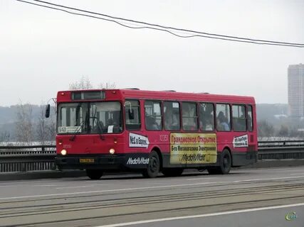 Расписание автобуса 746
