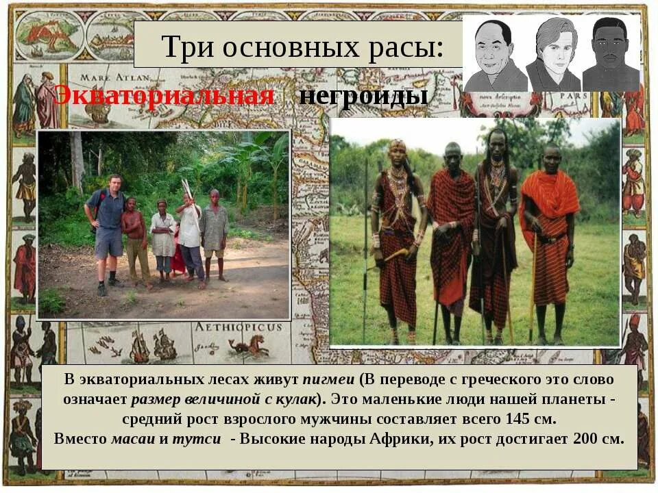экваториальная раса масаи. какой народ живет в экваториальных лесах африки. хозяйственная деятельность экваториальных лесов. народы зон экваториальных лесов. пигмеи тутси масаи нилоты.