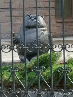 Памятник коту