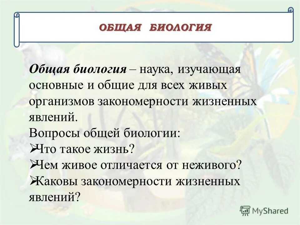 Житейские явления