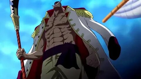 One piece белоус