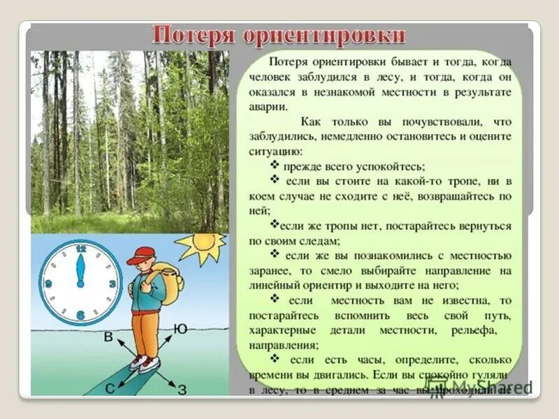 Выберите время отдыха которое по общему правилу. Памятка по ориентированию в лесу. Потеря ориентировки. Памятка по ориентированию на местности. Потеря ориентировки на местности.