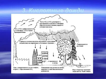 Сообщение на тему кислотные дожди
