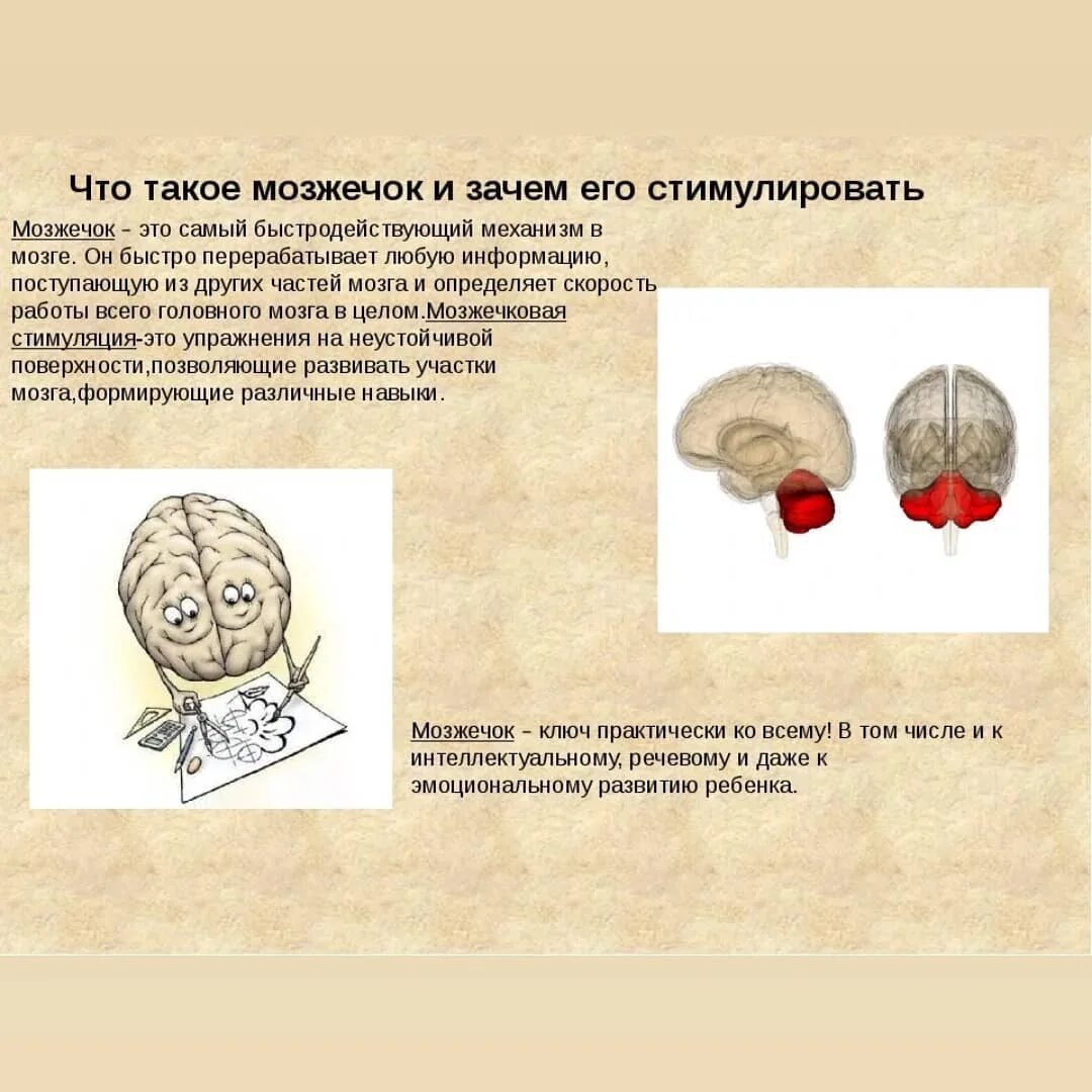 роль мозжечка в регуляции и координации движений. тренировка мозжечка и вестибулярного аппарата. тренировка мозжечка. движения туловища. нарушение походки при поражении мозжечка.