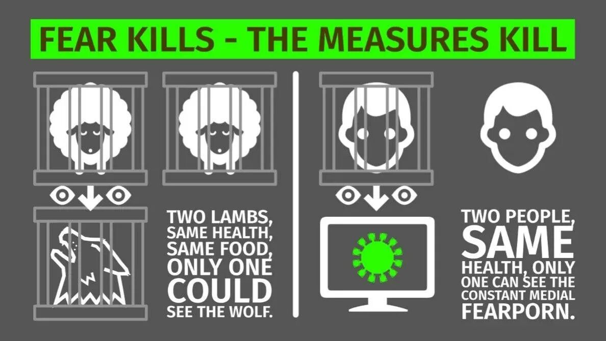Абу али ибн сино вклад. Ягненок в клетке. Знаменитый эксперимент авиценны двух ягнят огэ. Эксперимент с барашками авиценна. Эксперимент авиценны с двумя ягнятами.