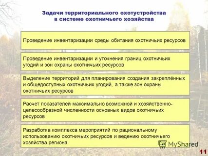 Ресурсы охотничьего хозяйства