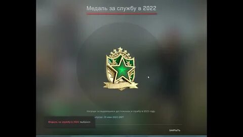 Медаль за службу кс 2