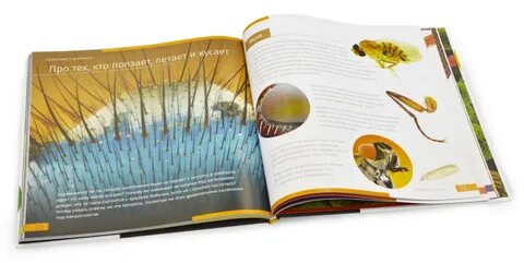 Рассказать мир книга