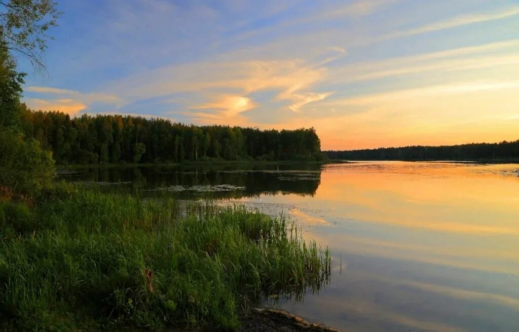 Озеро река тверская область. Озеро жикто тверская область. Река волчина. Савинское озеро тверская область. Тверская область река фитино.
