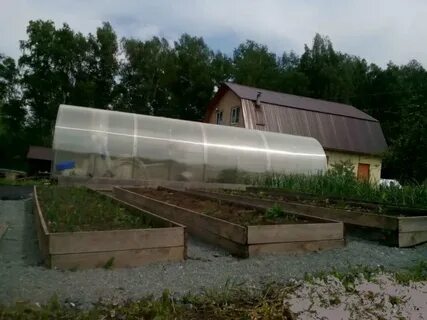 Плодопитомник кемерово