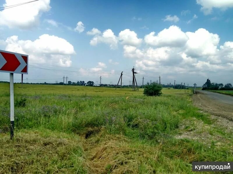 Приятное свидание. Участок 1300. Участок 1300. Участок 1300. Московская область снт бояркино.