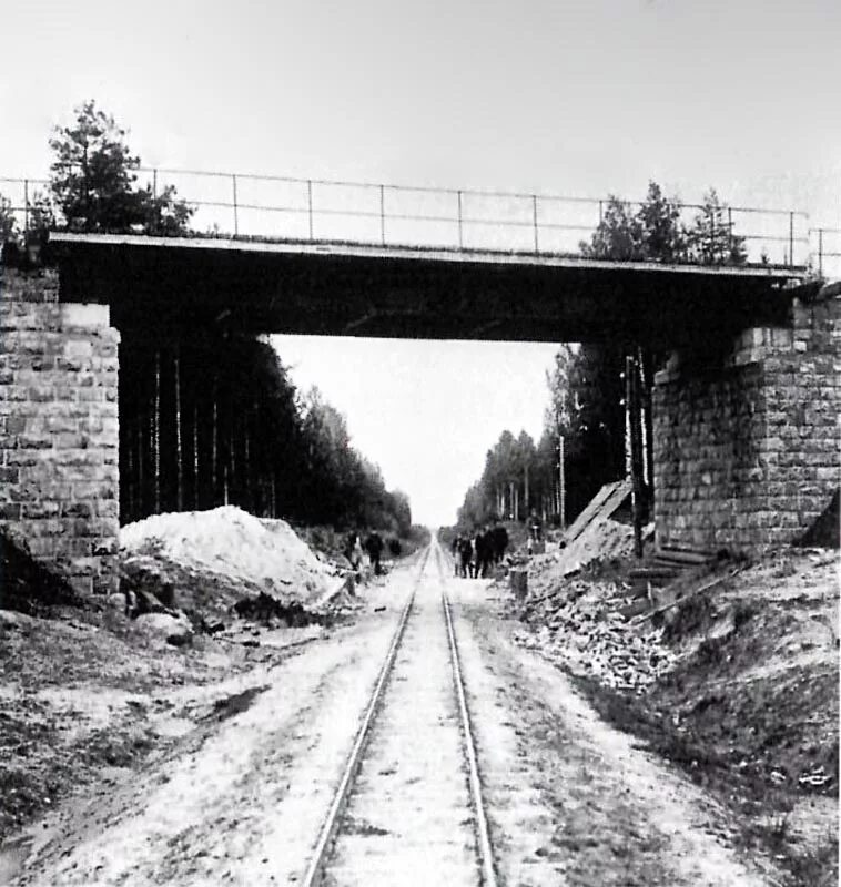 Старые дороги часть. Мещерская узкоколейка. Рязанско-Владимирская узкоколейная железная дорога. ЖД мост Киржач. Старый узкоколейный мост через Киржач.