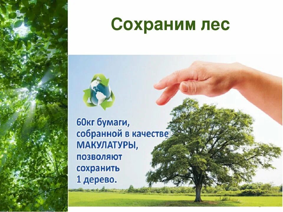 Сохранить и принять