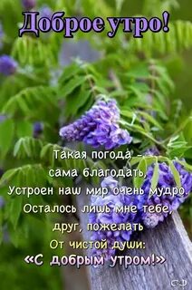 Открытки с мудрыми пожеланиями доброго