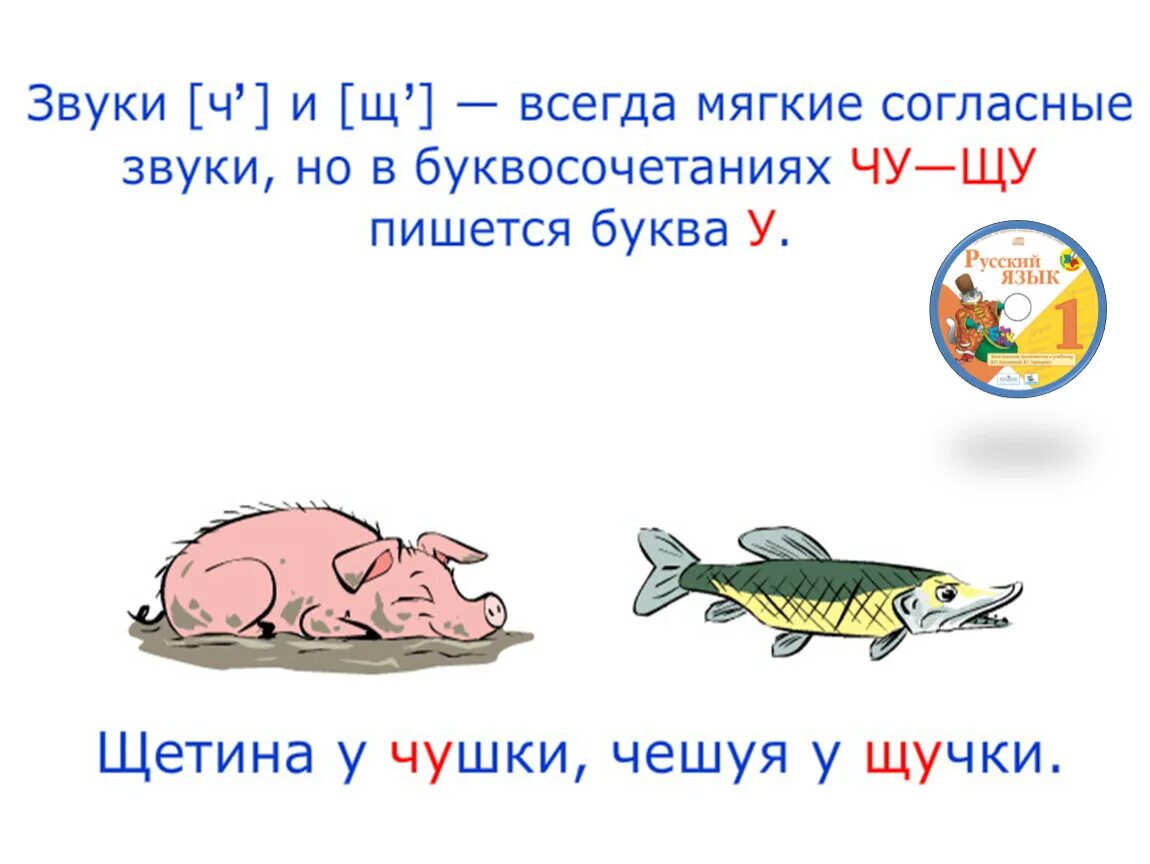 Жи ши пи. Буквосочетания ча ща. Правописание сочетаний ща ЩУ. Буквосочетания жи ши. Сочетания ча ща Чу ЩУ.