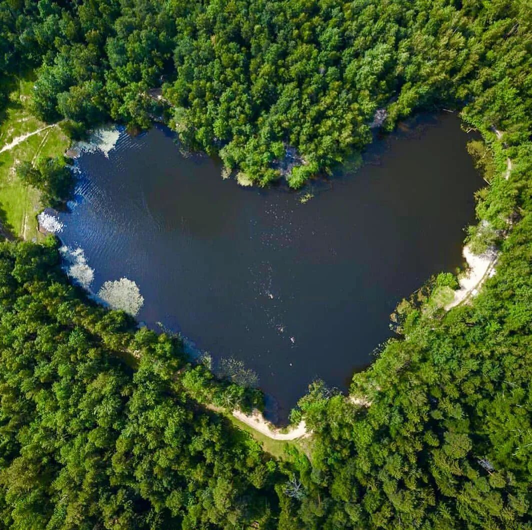 Озеро в москве где. Озеро Бабошкино. Озеро красное, Балашиха (55.761495, 37.988158). Лорейн Каунти озеро сердце. Озеро сердце в Балашихе.