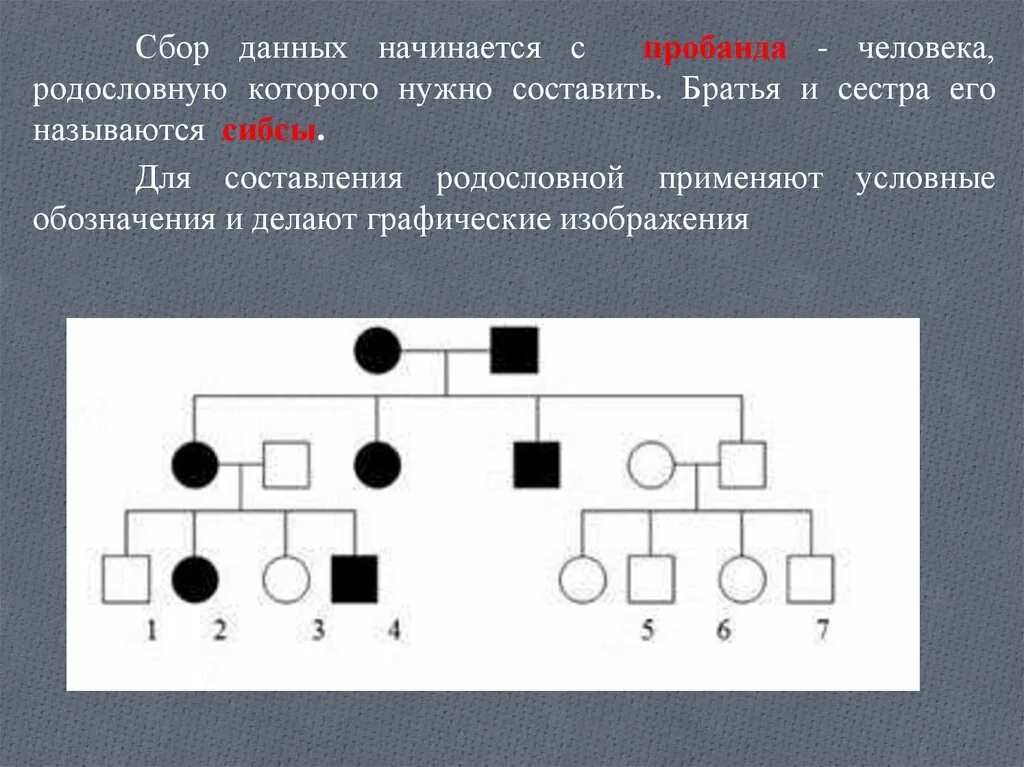 Лицо родословная которого составляется называется. Родословная генетика пробанд. составление родословной с пробанда. сибсы пробанда это. сестра пробанда.