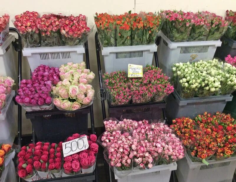 Сколько стоят розы в ростове. Пионы на Рижском рынке. Рижский цветочный рынок. Розы Рижский рынок. Цветочный рынок в Москве.