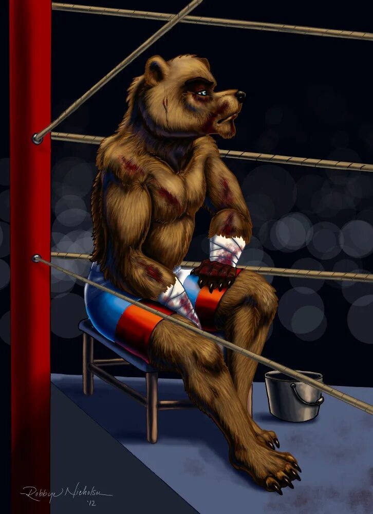 медведь с боксерскими перчатками. медведь в боксерских перчатках. медведь боксер. медведь с боксерскими перчатками. медведь с кубком.