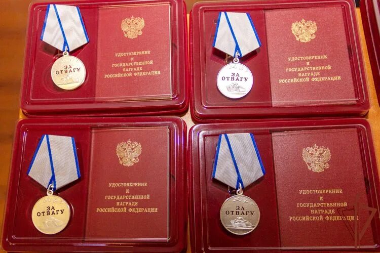 Награды сво россия фото В мемориальном зале музея "Сталинградская битва" вручили награды родственникам в