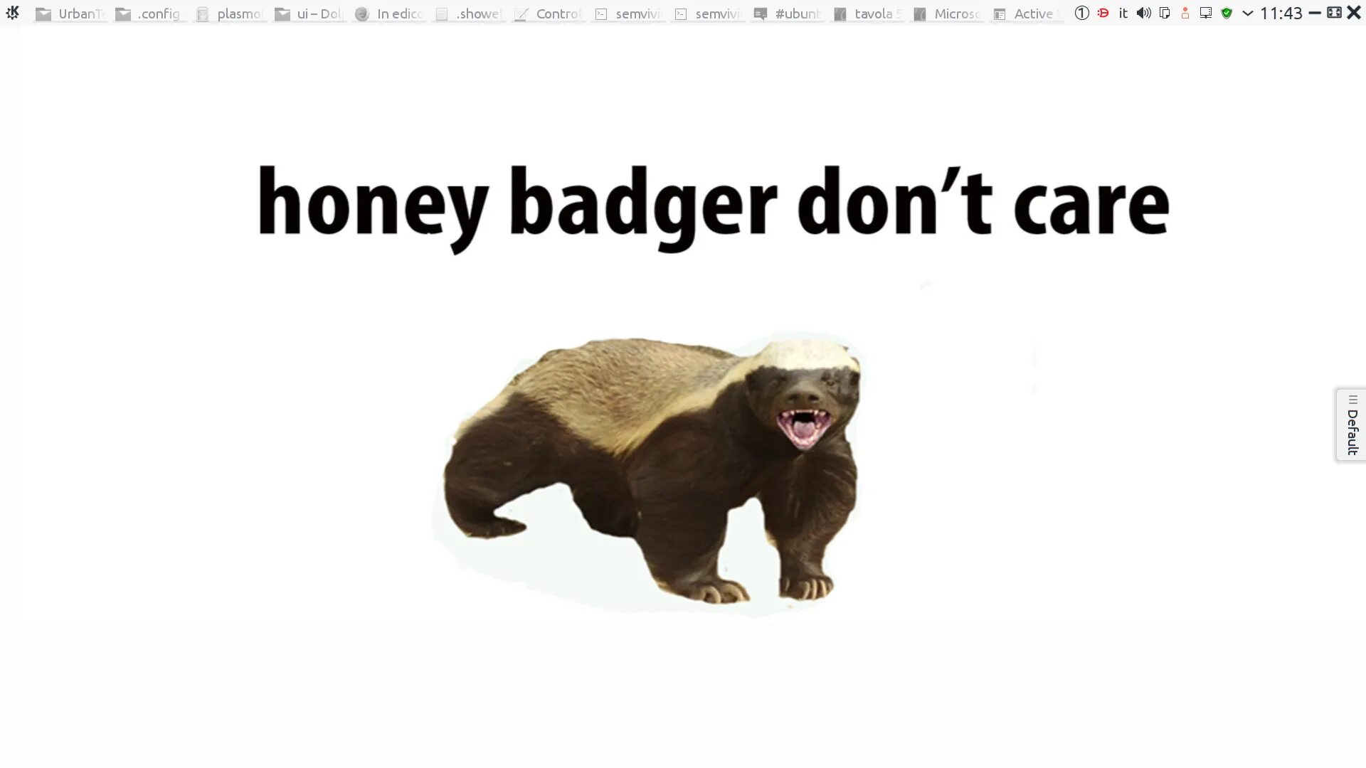 Медоед Honey Badger. Обои на рабочий стол медоед. Медоед животное. Медоед логотип. Медоед кв 2