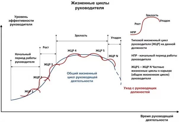 Жизненный уровень работников. Жизненный цикл работника в организации. жизненный цикл сотрудника в организации 5 этапов. этапы жизненного цикла сотрудника. этапы жизненного цикла сотрудника в компании.