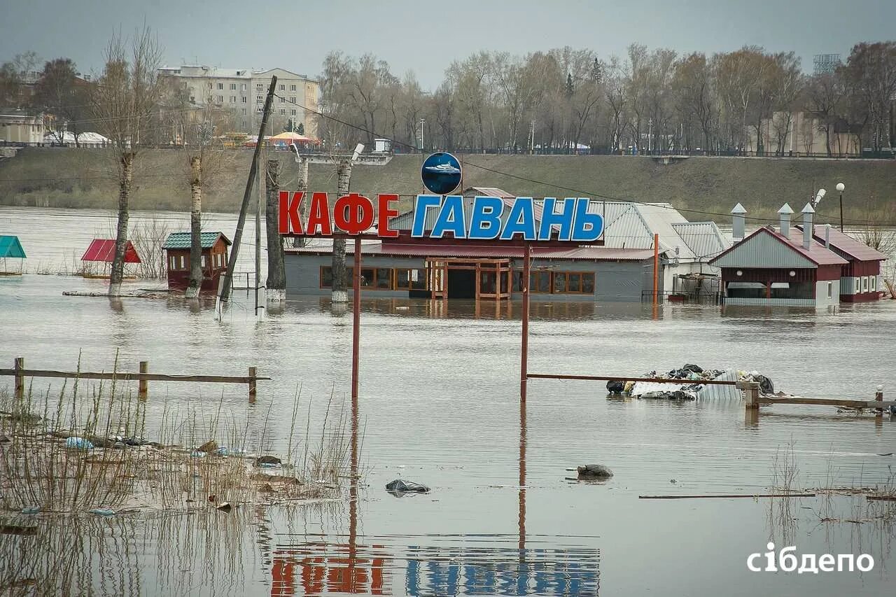 Кафе гавань кемерово. Ресторан гавань казань. Кафе гавань кемерово. Кафе гавань красноярск. Правая гавань 7 кемерово.