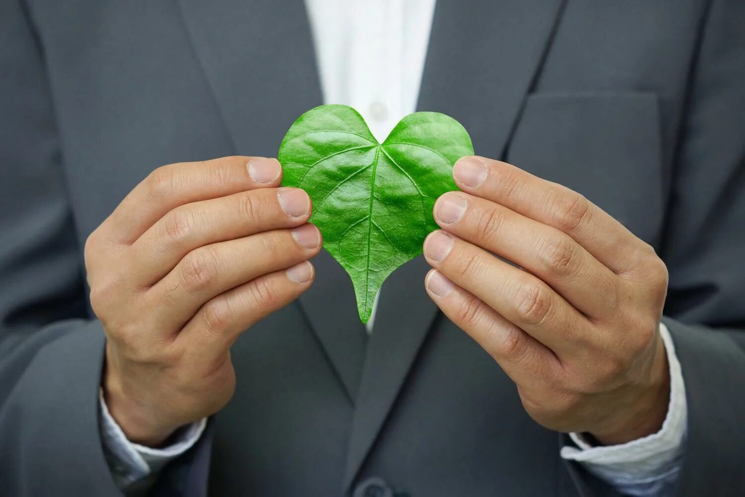 Concern environment. Юрист эколог. environmental ethics. картинки бизнес и экология.