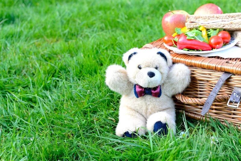 Медведь на пикнике. Медведь ест за одним столом с хозяином. Picnic bear. Медведь на пикнике. Медведь за столом.