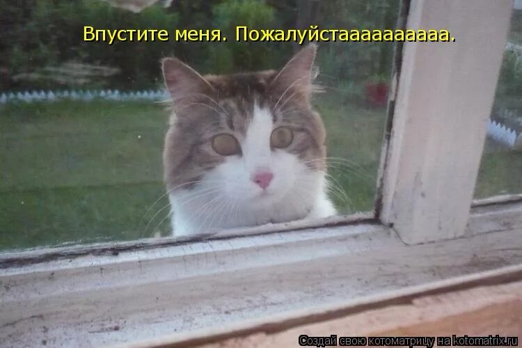 Было бы желание цитаты. Человек впускает в свою жизнь человека. Переверни с ног на голову цитаты. Ничего не хочется картинки. Утро доброе в окошко.