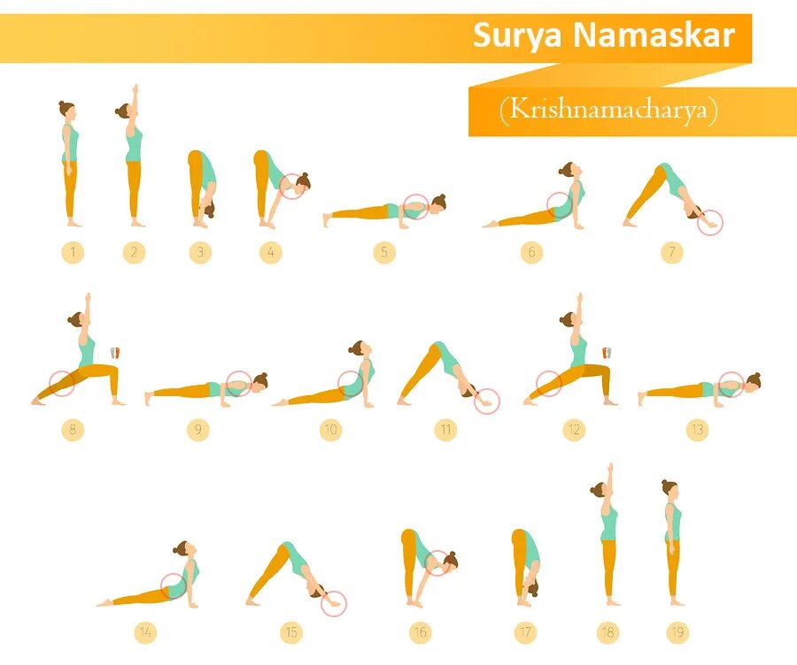 Сурья Намаскар комплекс. Комплекс Сурья Намаскар для начинающих. Сурья Намаскар Шивананда йога. Сурья Намаскар комплекс упражнений для начинающих. Комплекс приветствие солнцу