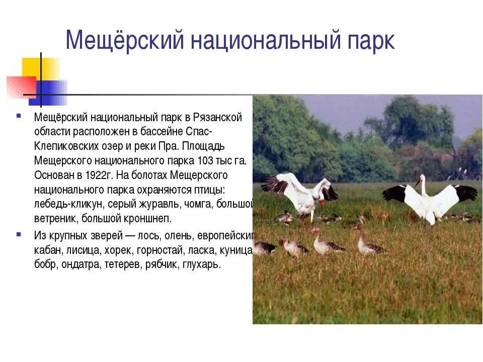 Примеры заповедников и национальных парков в россии Презентация по окружающему миру (географии) на тему "Чехия"