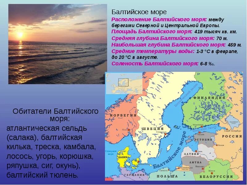 Береговая линия балтийского. Балтийское море описание моря. Балтийское море география 8 класс кратко. Сообщение о Балтийском море кратко. Балтийское море сообщение.