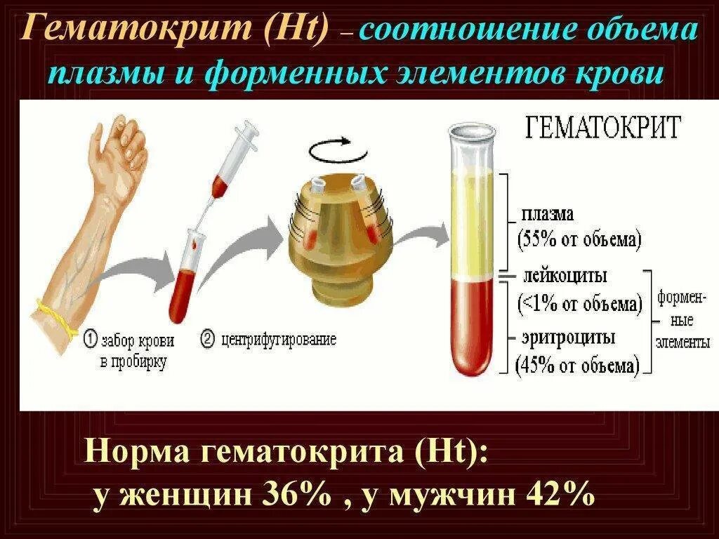 Снижение уровня гематокрита. Гематокрит. как определить гематокрит. схема гематокрита.