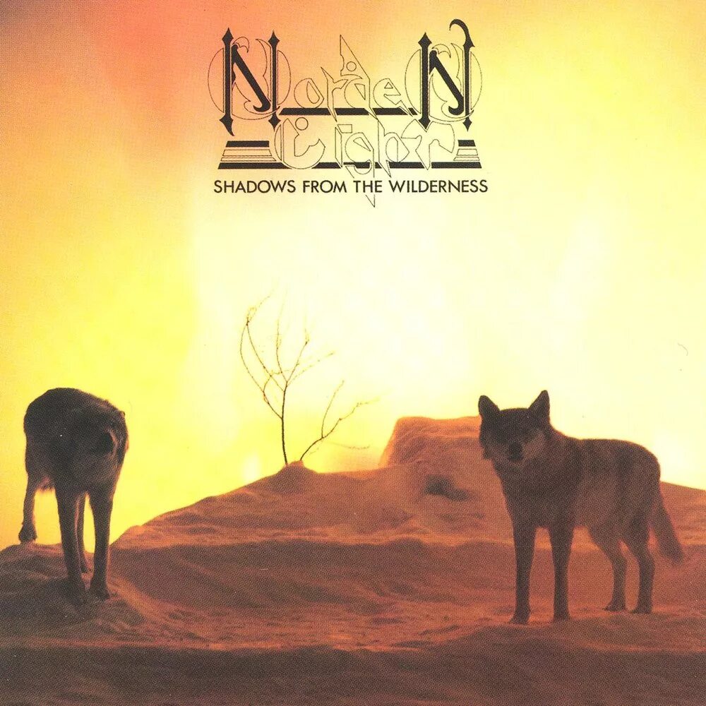 Norden Light (SWE) - Shadows from the Wilderness (1987). Длинные тени обложка. Track of Shadows from the Light. Lion Harris Shadows обложка. Обложка shadow