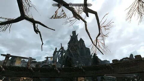 Elder forum