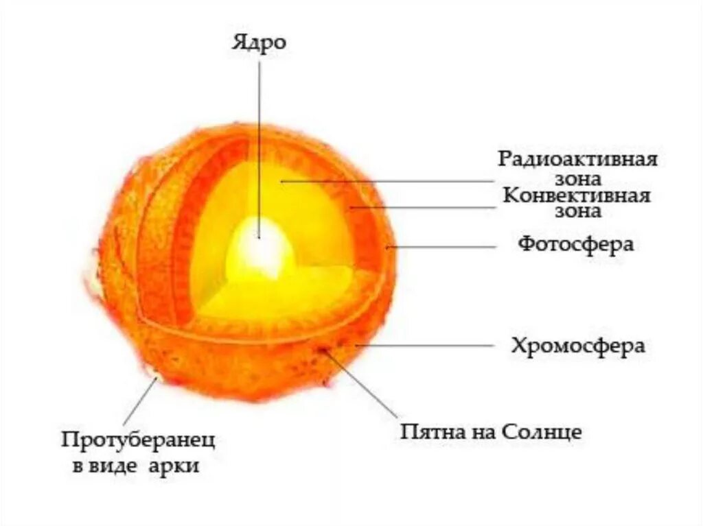 Из каких основных элементов состоит солнце. Внутреннее строение солнца схема. Внутреннее строение солнца рисунок 5.5. Строение солнца внутреннее и внешнее схема. Внутреннее строен ЕСОЛНЦА.