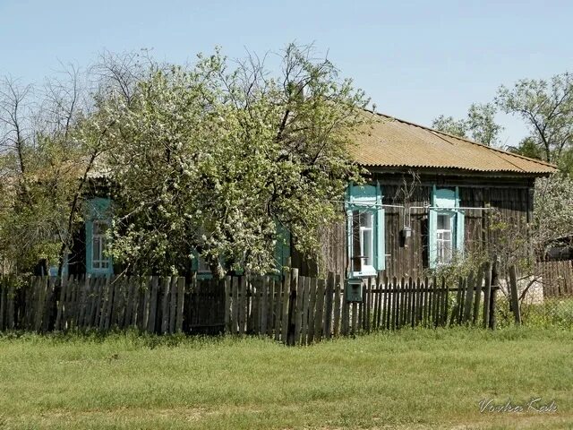 Авито волгоградская область нехаевский. Хутор Верхнекумский Волгоградская область. Хутор Стеженский Алексеевский район Волгоградская область. Волгоградская область Хутор Гурово. Волгоградская область Алексеевский район Хутор Титовский.