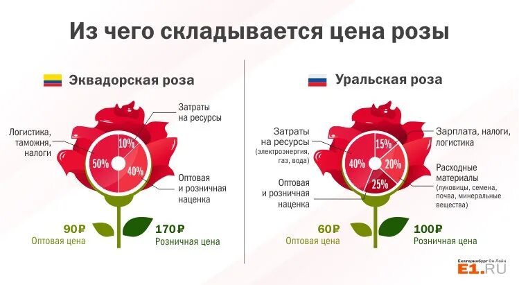 Сколько роз в россии. Инфографика цветы. Себестоимость розы.