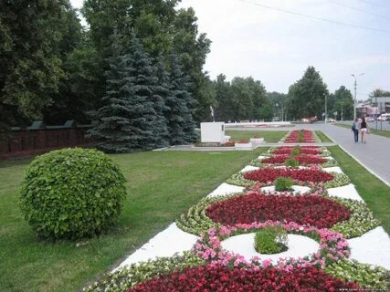 Цветы парк победы