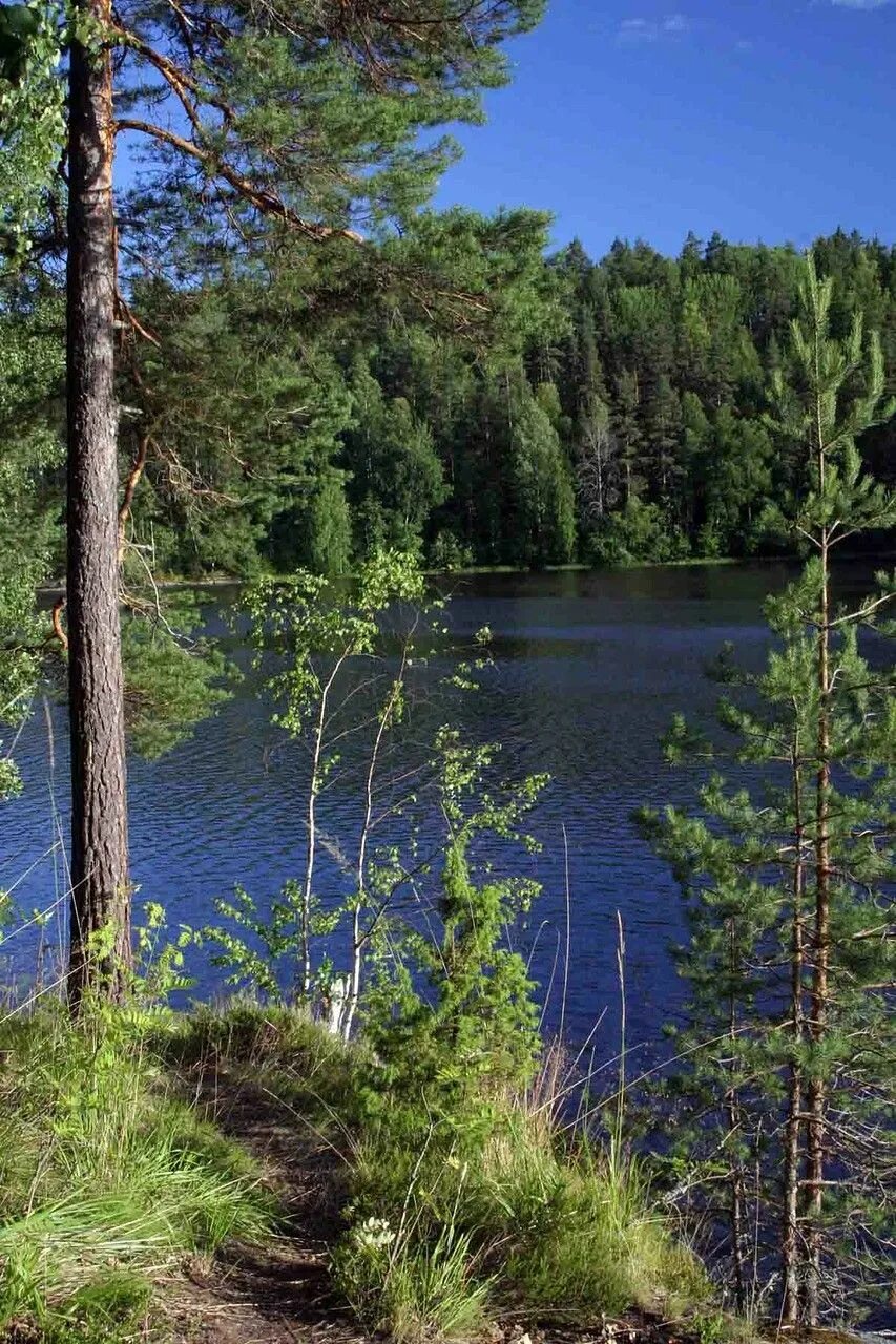 Озеро сортавала карелия. Сортавала озеро. Озеро Тухкалампи Сортавала. Озера Сортавала Карелия. Озеро айране Сортавала.