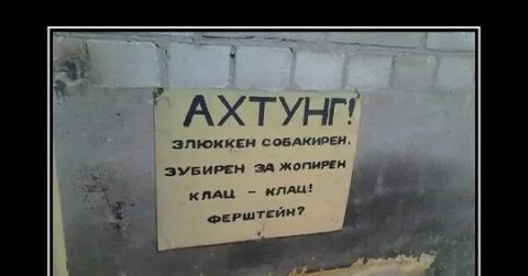 Нихт ферштейн перевод