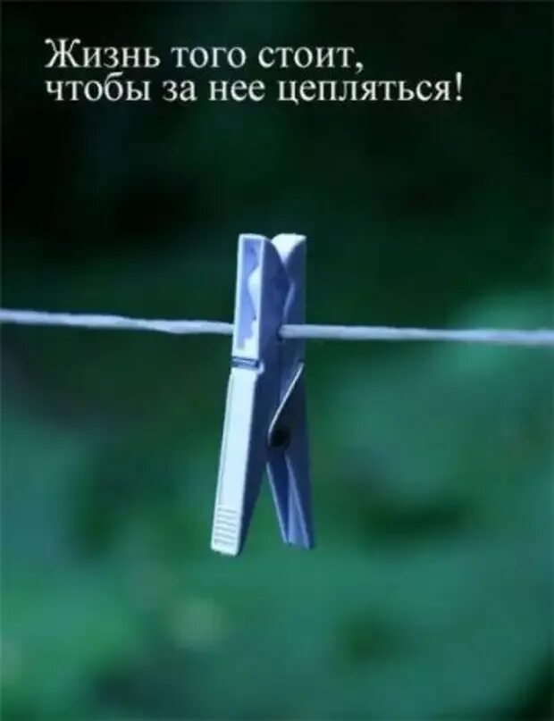 Всю жизнь стоять за. Цепляться за жизнь. цепляйся за жизнь. цепляясь за жизнь. цепляться за людей цитаты.