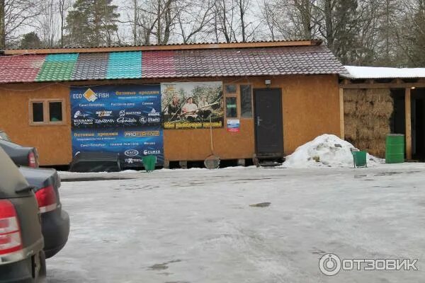 Три пескаря воронеж. Магазин пескарь воронеж. Магазин богатырь кемерово. Три пескаря тольятти кафе. Три пескаря тольятти кафе.