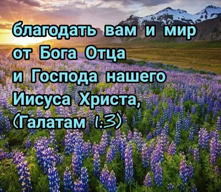 Благословляю вас на все четыре стороны картинки. Благословляю вас на все 4 стороны. Благословляю вас. Стихотворение Благословляю вас на все четыре стороны. Благословляю вас на все четыре