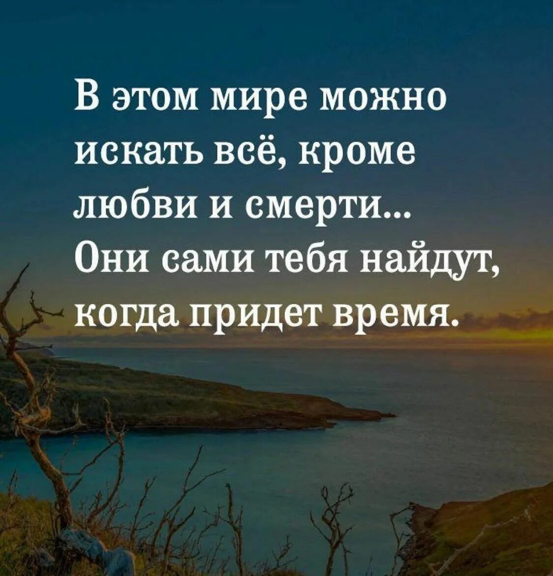 Любовь и смерть найдут тебя сами. В этом мире можно искать всё кроме любви. В этом мире можно искать всё кроме любви и смерти. Не ищи любовь и смерть они сами тебя найдут. Времена не приходят сами их