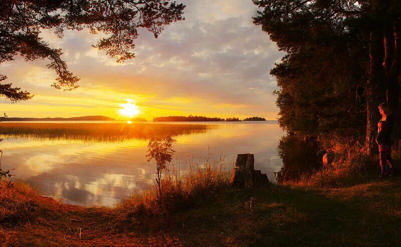 Рассвет литературы. Рассвет литературы. Тихий рассвет. Рассвет литературы. Природа рассвет.