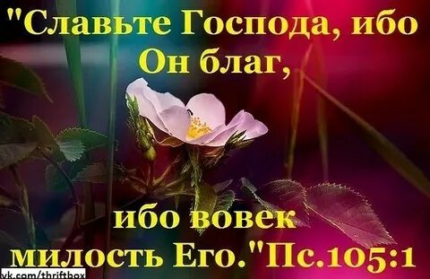 Господь ибо
