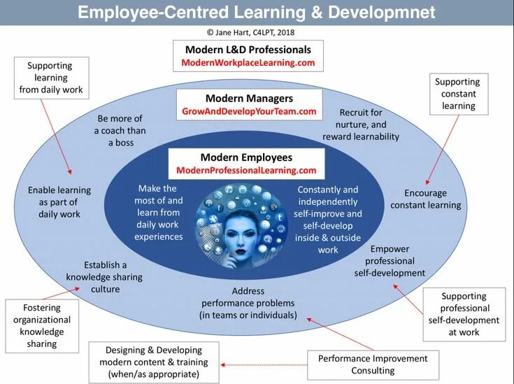 Learning and Development. Топик self developing. Self-developing and Learning Organizations. Learning and Development in Organization.